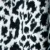 b/w cheetah