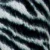 b/w zebra