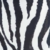SPICE-ZEBRA